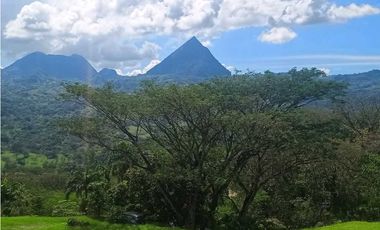 VENTA FINCA EN LA SIRIA  SUROESTE ANTIOQUEÑO