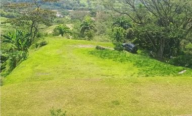 VENTA FINCA EN LA SIRIA  SUROESTE ANTIOQUEÑO
