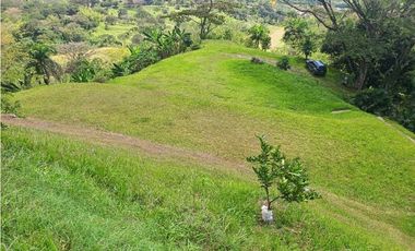 VENTA FINCA EN LA SIRIA  SUROESTE ANTIOQUEÑO