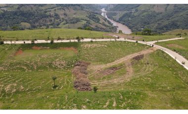 VENTA DE LOTE SALGAR SUROESTE ANTIOQUEÑO