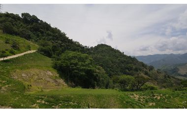 VENTA DE LOTE SALGAR SUROESTE ANTIOQUEÑO