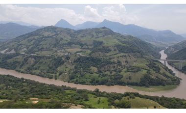 VENTA DE LOTE SALGAR SUROESTE ANTIOQUEÑO