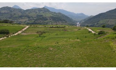 VENTA DE LOTE SALGAR SUROESTE ANTIOQUEÑO