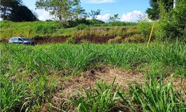 VENTA LOTE VENECIA SUROESTE ANTIOQUEÑO