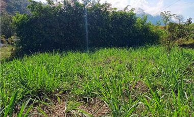 VENTA LOTE VENECIA SUROESTE ANTIOQUEÑO