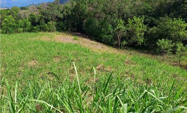 VENTA LOTE VENECIA SUROESTE ANTIOQUEÑO