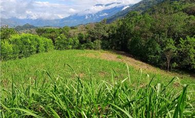 VENTA LOTE VENECIA SUROESTE ANTIOQUEÑO