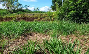 VENTA LOTE VENECIA SUROESTE ANTIOQUEÑO