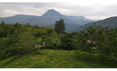 VENTA LOTE AMAGA SUROESTE ANTIOQUEÑO