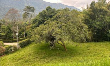 VENTA LOTE AMAGA SUROESTE ANTIOQUEÑO