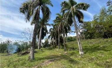 VENTA DE LOTE EN VENECIA SUROESTE ANTIOQUEÑO