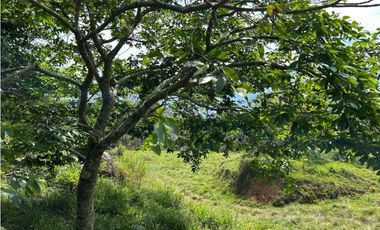 VENTA DE LOTE EN VENECIA SUROESTE ANTIOQUEÑO