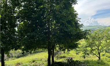 VENTA DE LOTE EN VENECIA SUROESTE ANTIOQUEÑO