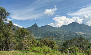 VENTA DE LOTE EN VENECIA SUROESTE ANTIOQUEÑO