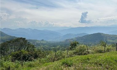 VENTA DE LOTE EN VENECIA SUROESTE ANTIOQUEÑO