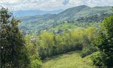 VENTA DE LOTE EN VENECIA SUROESTE ANTIOQUEÑO