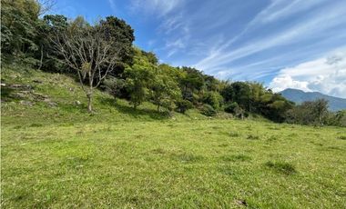 VENTA DE LOTE EN VENECIA SUROESTE ANTIOQUEÑO