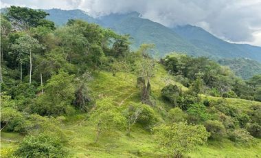 VENTA DE LOTE EN AMAGA SUROESTE ANTIOQUEÑO