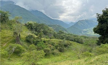 VENTA DE LOTE EN AMAGA SUROESTE ANTIOQUEÑO