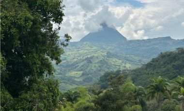 VENTA DE LOTE EN AMAGA SUROESTE ANTIOQUEÑO