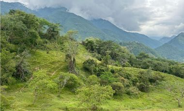 VENTA DE LOTE EN AMAGA SUROESTE ANTIOQUEÑO