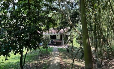 Venta de finca en la siria , amaga suroeste antioqueño