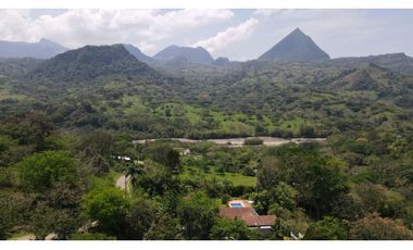 Venta de finca en la siria , amaga suroeste antioqueño