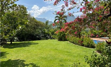 Venta de finca en la siria , amaga suroeste antioqueño
