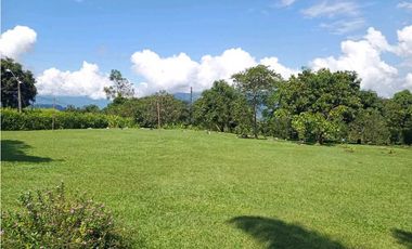 VENTA FINCA VENECIA SUROESTE ANTIOQUEÑO