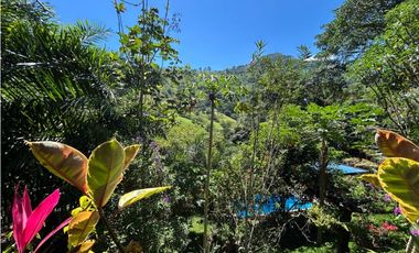 VENTA DE FINCA EN CIUDAD BOLIVAR SUROESTE DE ANTIOQUIA
