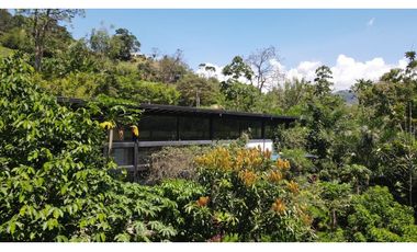 VENTA DE FINCA EN CIUDAD BOLIVAR SUROESTE DE ANTIOQUIA