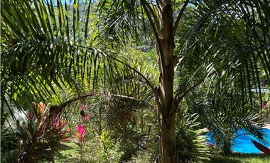 VENTA DE FINCA EN CIUDAD BOLIVAR SUROESTE DE ANTIOQUIA