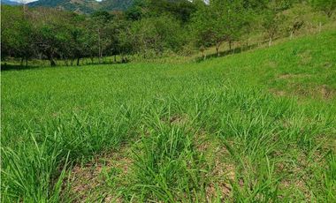 VENTA LOTE VENECIA SUROESTE ANTIOQUEÑO