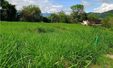VENTA LOTE VENECIA SUROESTE ANTIOQUEÑO