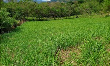 VENTA LOTE VENECIA SUROESTE ANTIOQUEÑO