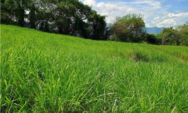 VENTA LOTE VENECIA SUROESTE ANTIOQUEÑO