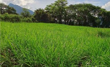 VENTA LOTE VENECIA SUROESTE ANTIOQUEÑO