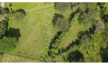 VENTA DE LOTE EN LA PINTADA SUROESTE ANTIOQUEÑO