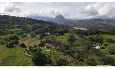 VENTA DE LOTE EN LA PINTADA SUROESTE ANTIOQUEÑO