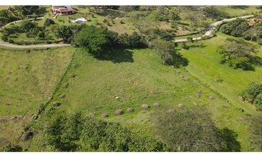 VENTA DE LOTE EN LA PINTADA SUROESTE ANTIOQUEÑO