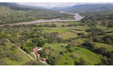 VENTA DE LOTE EN LA PINTADA SUROESTE ANTIOQUEÑO