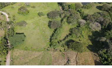 VENTA DE LOTE EN LA PINTADA SUROESTE ANTIOQUEÑO