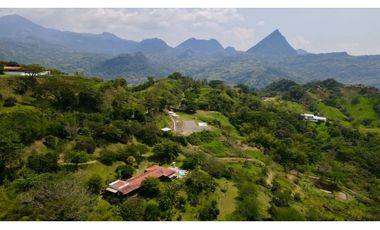 VENTA DE FINCA EN AMAGA LA SIRIA SUROESTE ANTIOQUEÑO