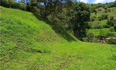 VENTA LOTE TITIRIBI SUROESTE ANTIOQUEÑO