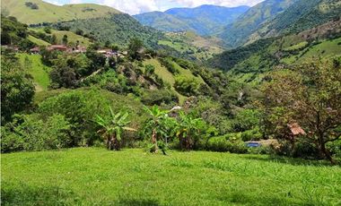 VENTA LOTE TITIRIBI SUROESTE ANTIOQUEÑO