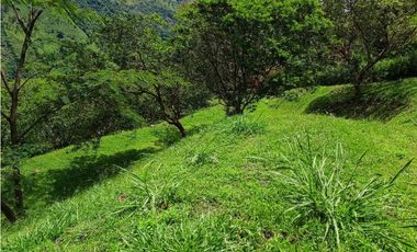 VENTA LOTE TITIRIBI SUROESTE ANTIOQUEÑO