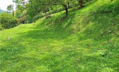 VENTA LOTE TITIRIBI SUROESTE ANTIOQUEÑO