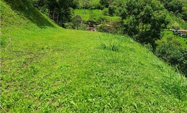 VENTA LOTE TITIRIBI SUROESTE ANTIOQUEÑO