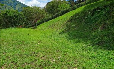 VENTA LOTE TITIRIBI SUROESTE ANTIOQUEÑO