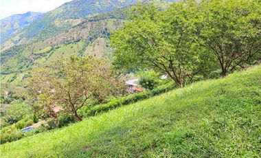 VENTA LOTE TITIRIBI SUROESTE ANTIOQUEÑO